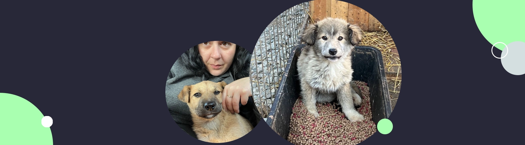 Embracing Autonomy: Our Consultant Kirsty Drain’s Journey to Success